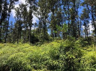 Ginger Rd LOT 289, Pahoa, HI 96778