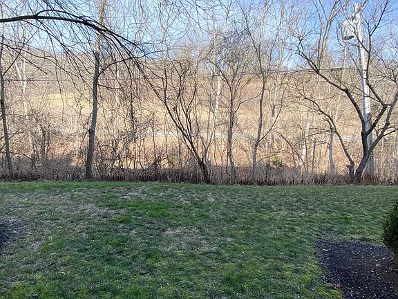 Beautiful view from the back patio.