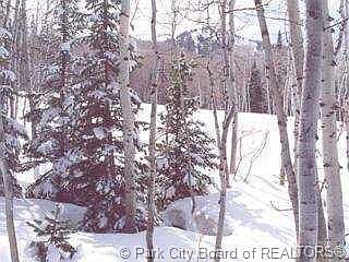 2nd image of 17 White Pine Canyon Rd #12