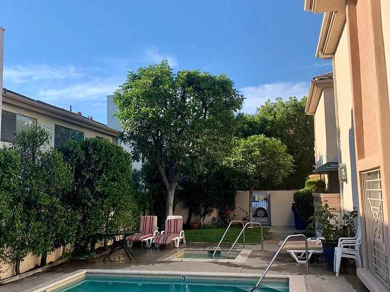 Swimming Pool Backyard Area