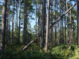 920 Cowpen Rd, Osteen, FL 32764