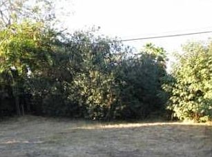 2nd image of 4414 N Carvol Ave