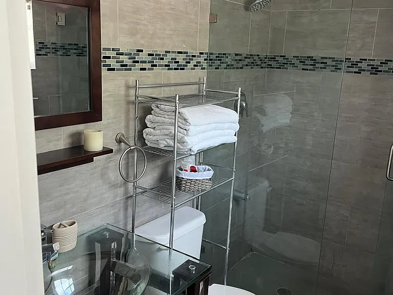 Master bathroom