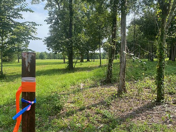 4th image of 4899 Woodbury Pike