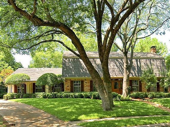 Front yard