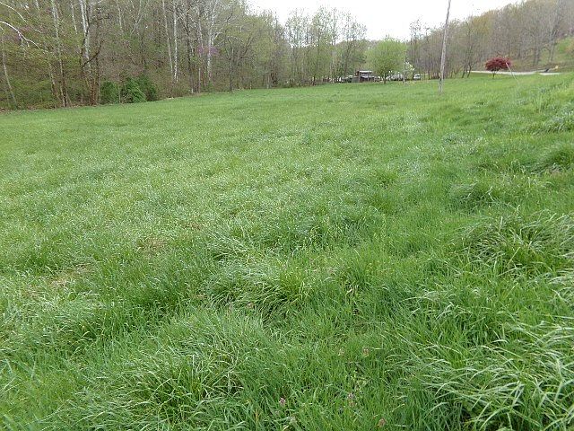 2nd image of Rapp Hollow Rd