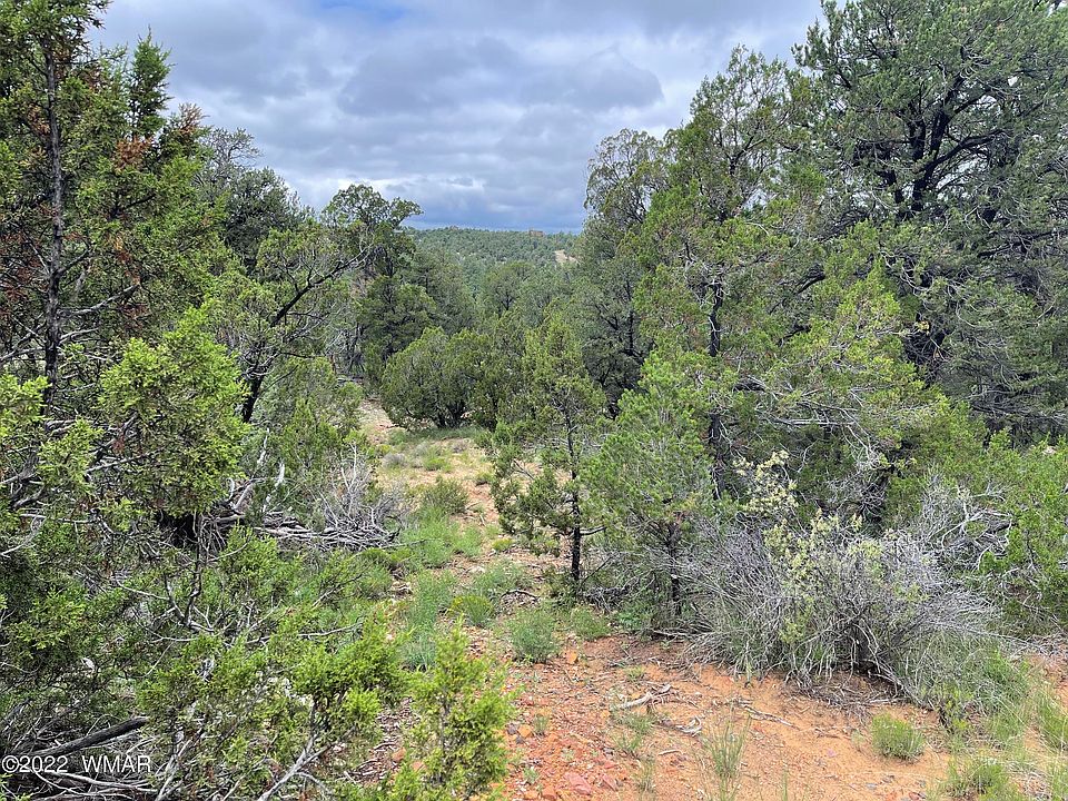 3634 Bobcat Trl, Overgaard, AZ 85933 Zillow