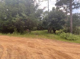 912 Williams Store Rd, Sylvania, GA 30467