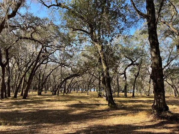 Forest 2 Rd, Umatilla, FL 32784