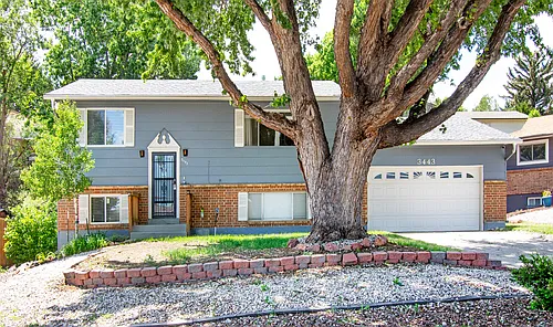 3443 Amador Cir Photo 1 3443 Amador Cir Photo 1