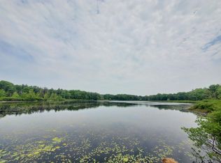 914 S Alley Lake Trl, White Cloud, MI 49349