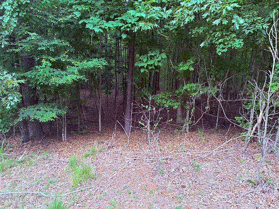 3rd image of LOT 32 Pine Cone Ln