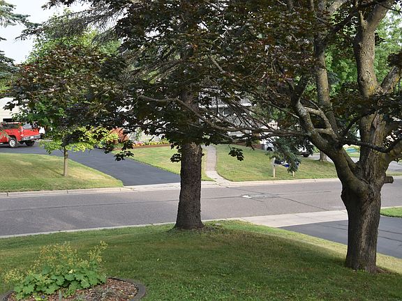 Front yard from living room