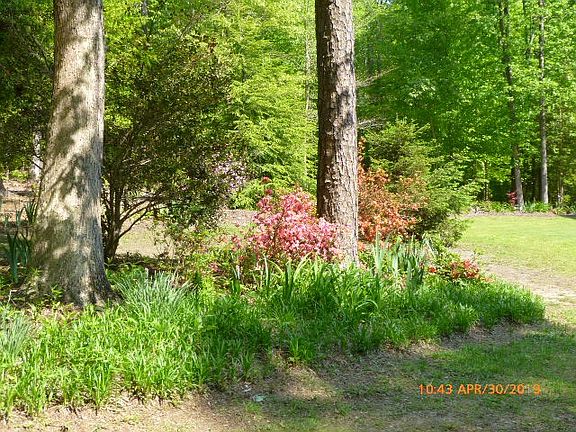 5th image of 320 Lake Dr