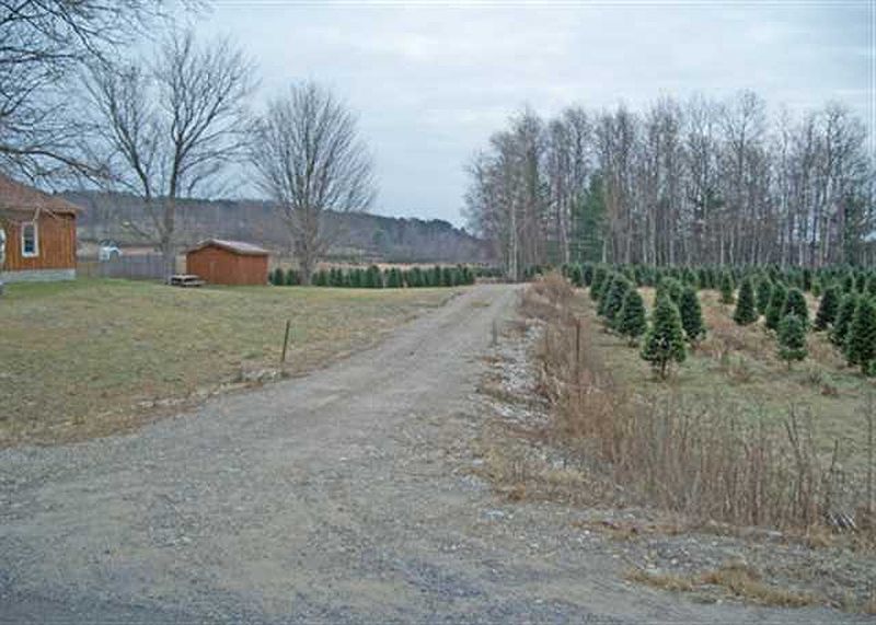 2nd image of lot #1 MECO MEADOWS Lane