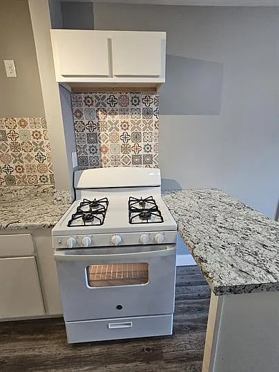 1 bed, 550 sqft, $700 — Photo 3