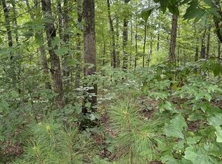 5 N Harris Creek Dr, Ellijay, GA 30540