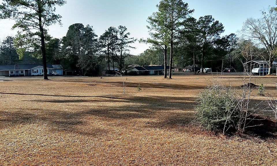 Grass with a few pine trees
