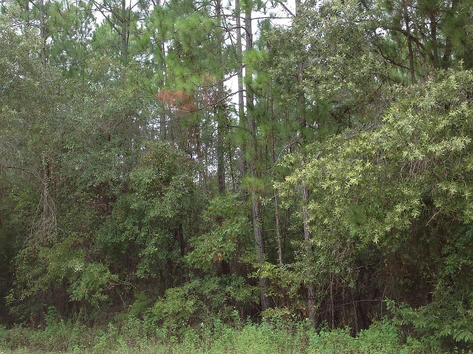 2nd image of 7656 Casa Grande Blvd