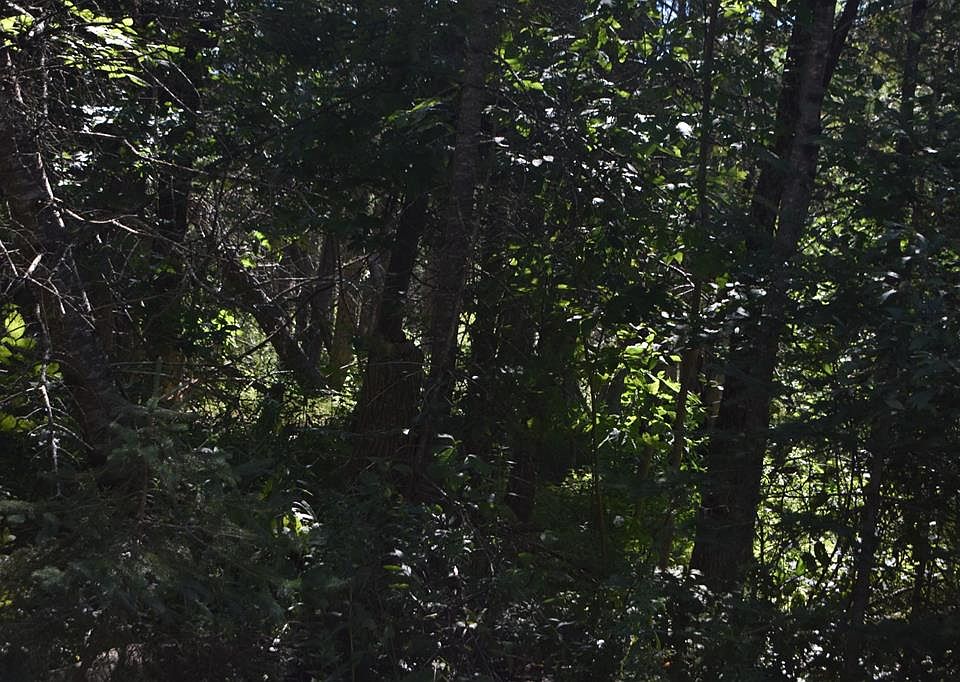2nd image of Bennett Rd