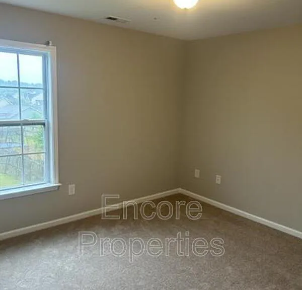 929 Ribbonleaf Ln — Photo 4