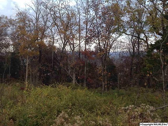 2nd image of 4040 Hawks Way NE