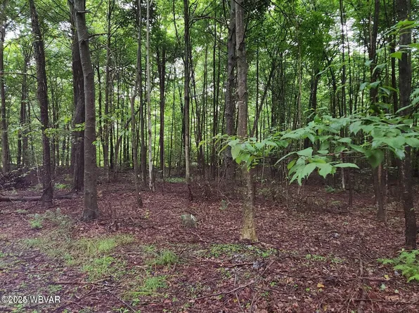 21 Rocky Road Ln, Dushore, PA 18614