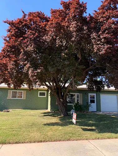 1223 Bonito Ave Photo 1