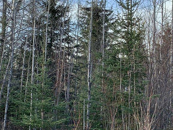 3rd image of 14520 Township Road 562