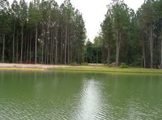 24 Sweet Marsh Ct, Bluffton, SC 29910