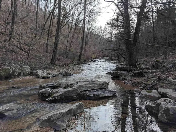875 Rocky Creek Rd, Marshall, AR 72650