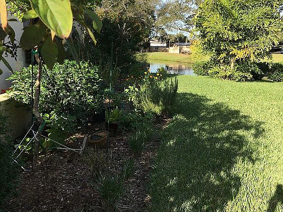 Side yard