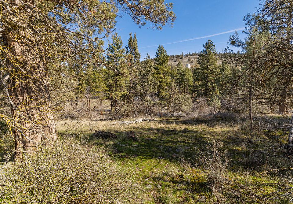 1st image of 1069 Water Birch Ct