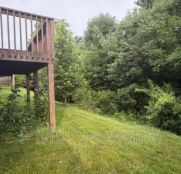 10311 Boston Ln — Photo 30