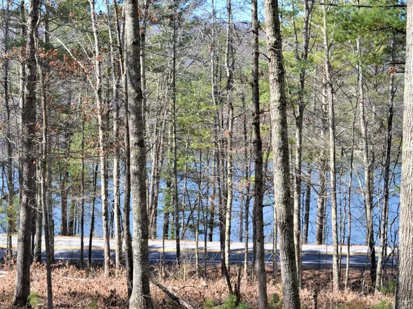 Moncove Lake Rd, Gap Mills, WV 24941