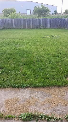 Fenced In Yard