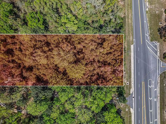 3rd image of Crawfordville Hwy