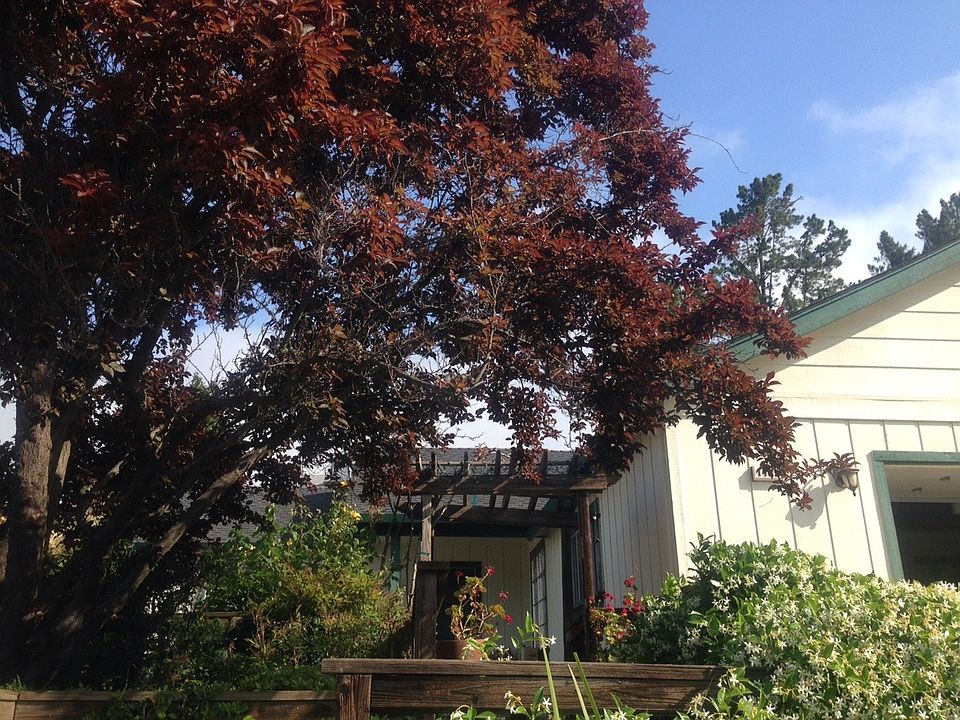 2nd image of 1465 Sherman Dr