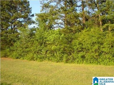 Rouse Road Acreage, Warrior, AL, 35180