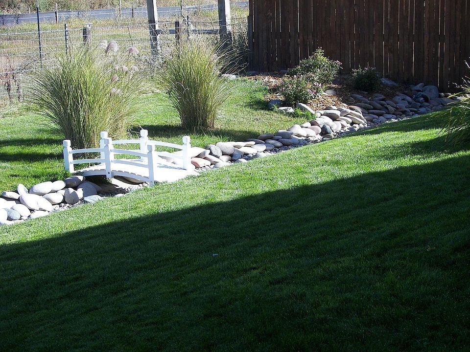 Backyard from flagstone patio