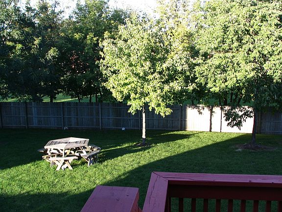 Large Backyard