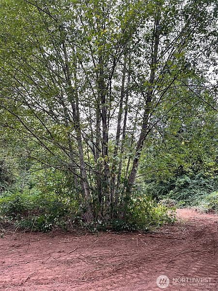 3rd image of 0 xxxx 238th Avenue NE