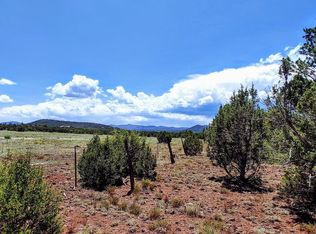 10 County Road 3197, Vernon, AZ 85940