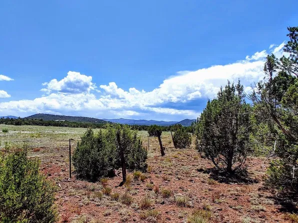 10 County Road 3197, Vernon, AZ 85940
