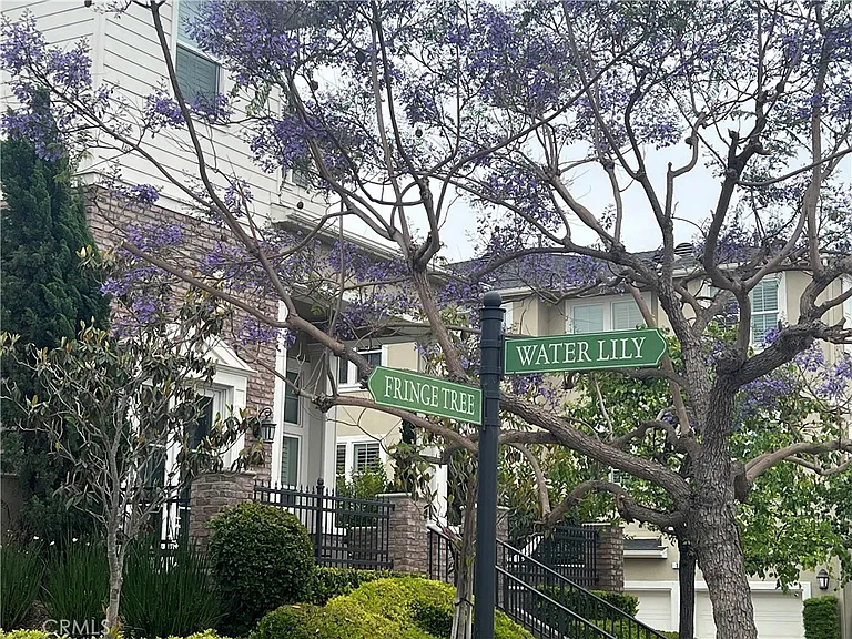 42 Fringe Tree — Photo 2