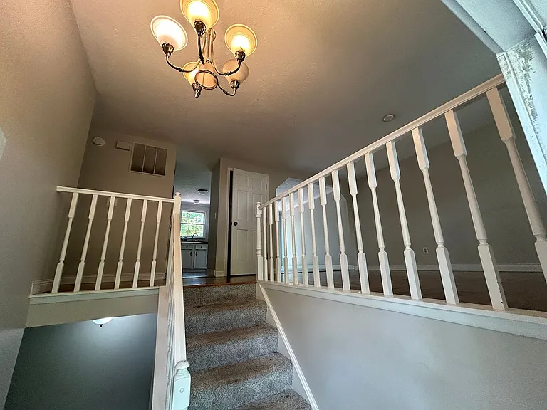 8591 Rocky Trl — Photo 3