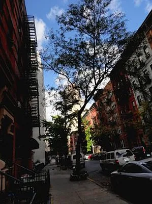 Rented by Prince Real Estate Associates LLC | media 17