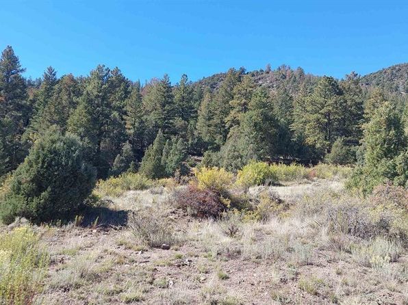 1685 Bear Creek Cir, South Fork, CO 81154