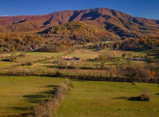 0 Robeson Rd, Sevierville, TN 37862