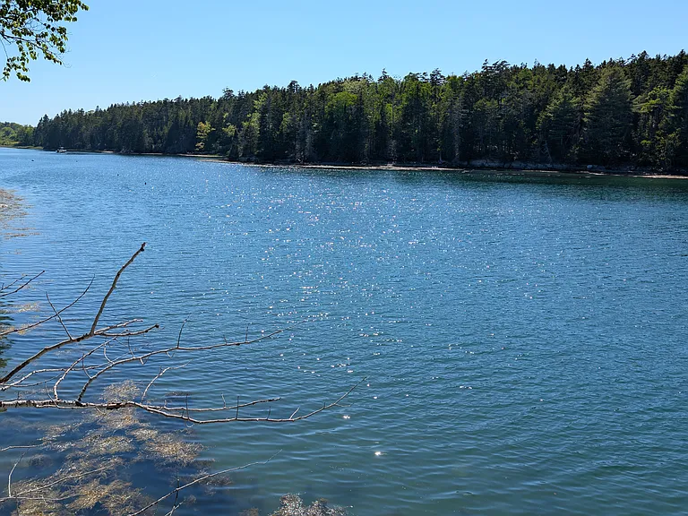 61 Tide Mill Cove Rd — Photo 9